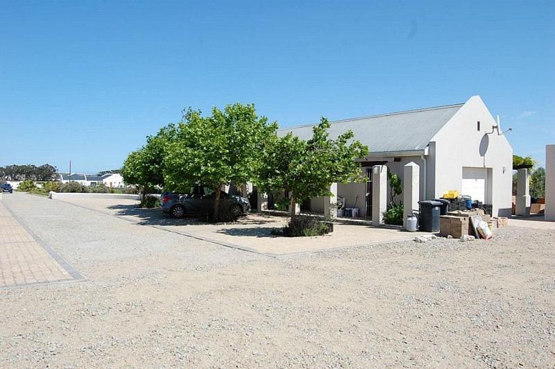 Гостьовий будинок Longacre Olive & Vineyard Estate Лангебан Екстер'єр фото