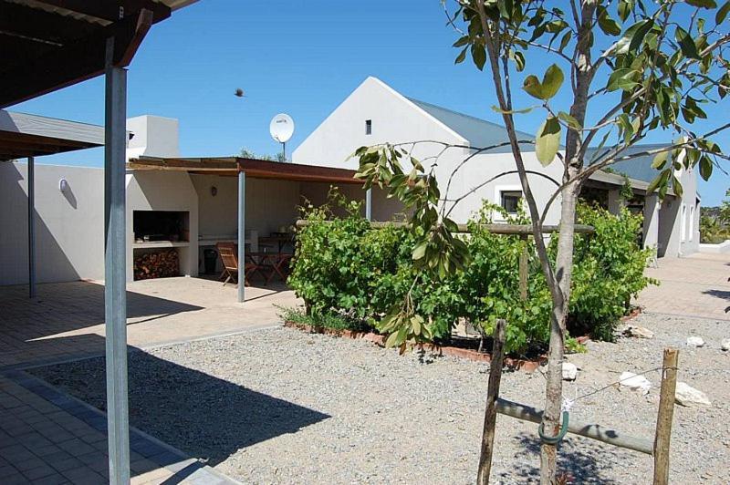 Гостьовий будинок Longacre Olive & Vineyard Estate Лангебан Екстер'єр фото